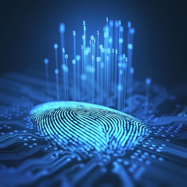 Fingerprint Binary Microchip