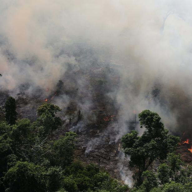 An aerial view of a tract of Amazon jungle burning as it is being cleared by loggers and farmers near the city of Novo Progresso