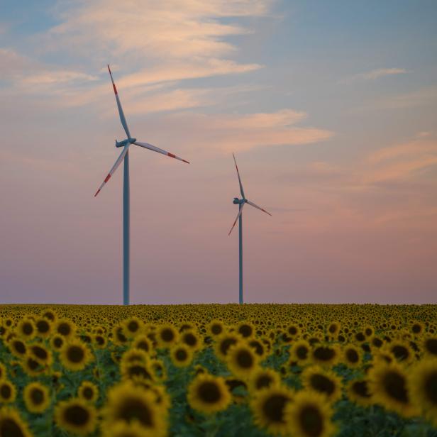 GERMANY-ENVIRONMENT-ENERGY-AGRICULTURE