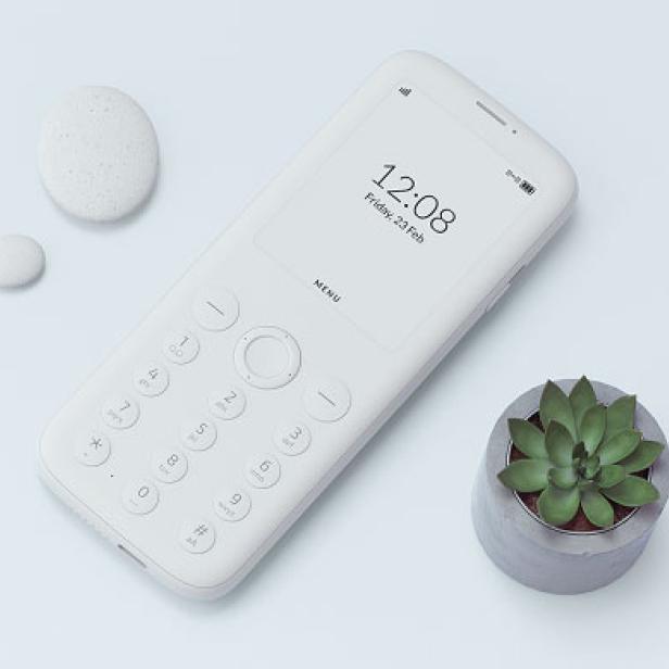 Ein minimalistisches, weißes Mobiltelefon liegt neben einem kleinen Kaktus und zwei Steinen.