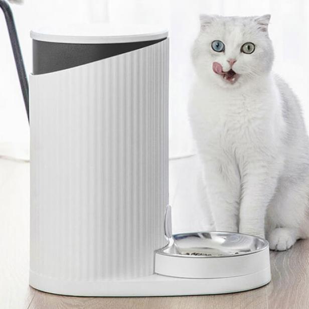 Eine weiße Katze mit verschiedenfarbigen Augen leckt sich das Maul neben einem Futterautomaten.