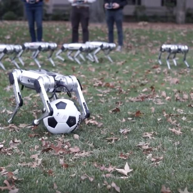 Ein vierbeiniger Roboter hält einen Fußball auf einer Wiese mit herbstlichen Blättern.