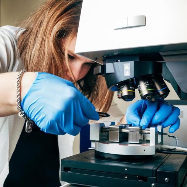 ÖAW-Materialwissenschaftlerin Megan Cordill am Mikroskop