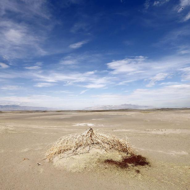 A first tumble weed sits on a mud flat where water used to be next to the Great Salt Lake Marina west of Salt Lake City