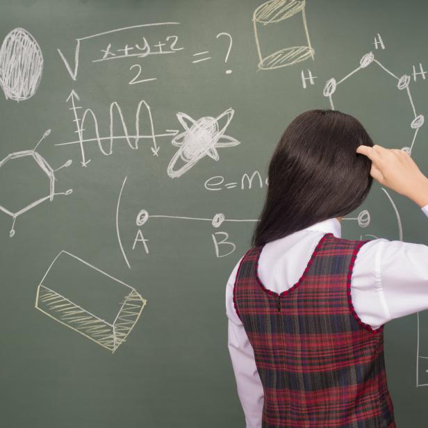 Ein Mädchen steht vor einer Tafel mit mathematischen und chemischen Formeln.