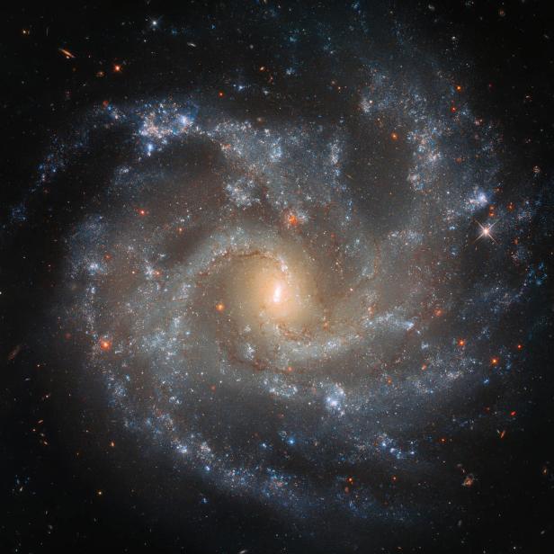 Die Spiralgalaxie NGC 5468, aufgenommen vom Hubble Weltraumteleskop