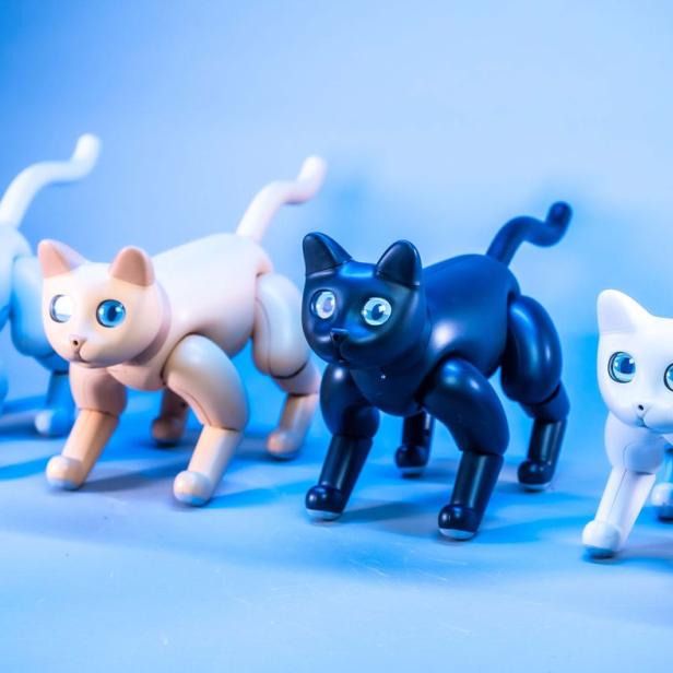 Vier Roboterkatzen in Weiß, Beige und Schwarz stehen auf einem blauen Untergrund.