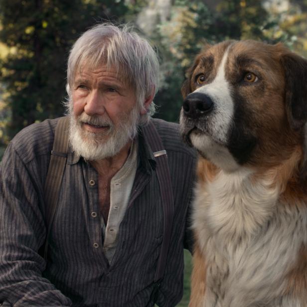 Harrison Ford steht mit einem Bernhardiner-Mischling vor einem Wald.