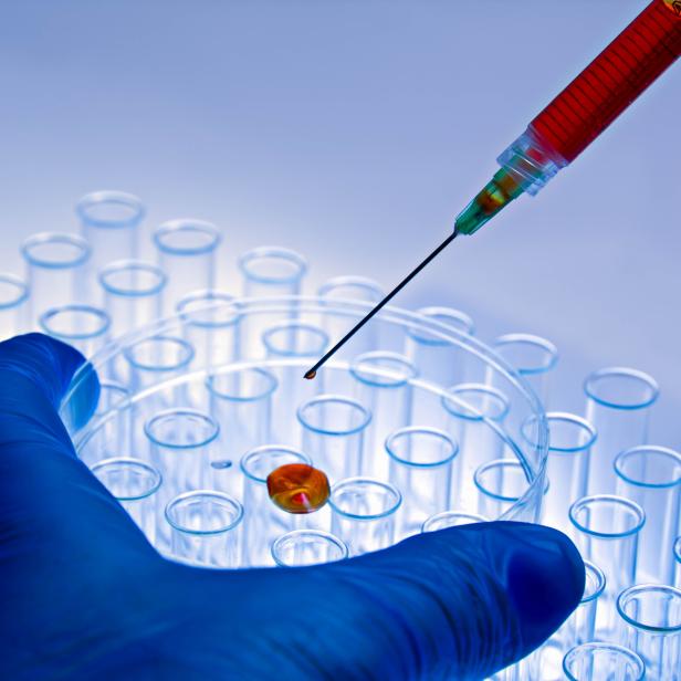 Hand holds petri dish and syringe against background test tubes