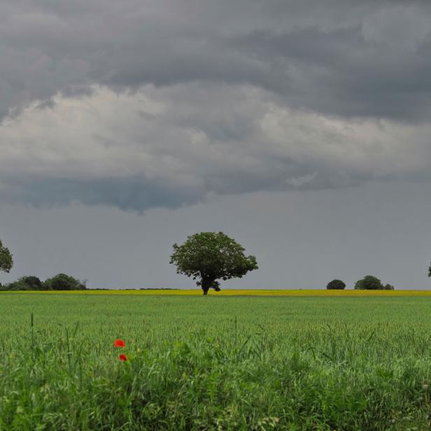 FRANCE-WEATHER-FEATURE-CAR-TRANSPORT