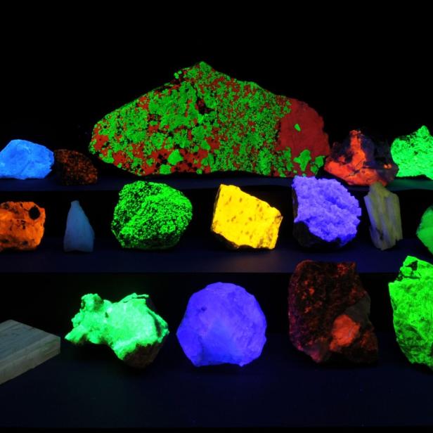 Eine Sammlung von Mineralien, die unter UV-Licht in verschiedenen Farben leuchten.