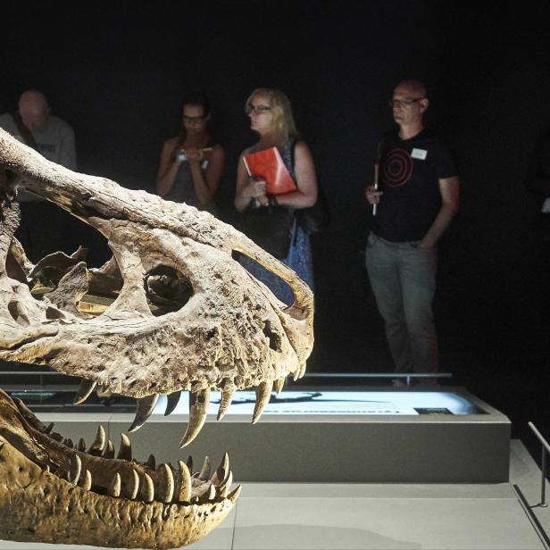 Naturalis museum in Leiden reopens after renovation