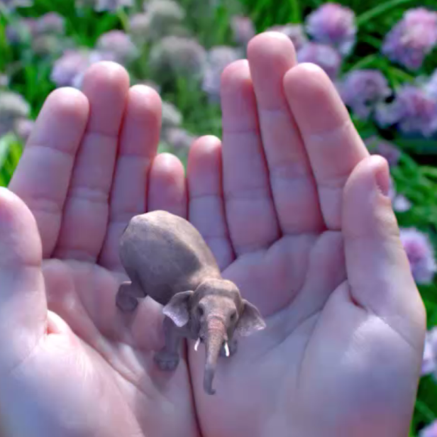 Magic Leap hat noch kein fertiges Produkt, konnte sich aber bereits über eine halbe Milliarde US-Dollar sichern