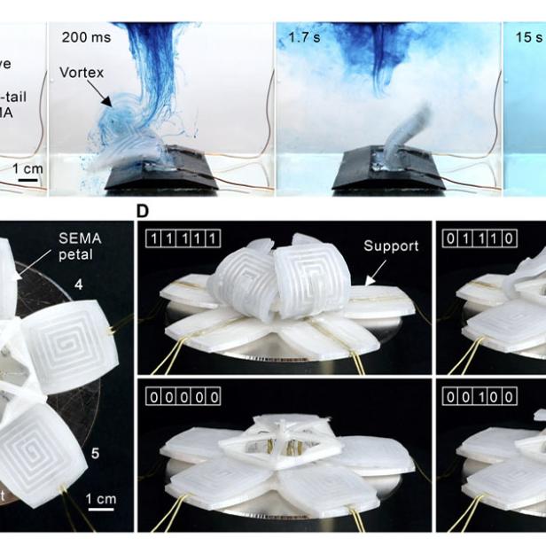 Die Abbildungen zeigen die Bewegung und Formänderung einer SEMA-Blume unter verschiedenen Bedingungen.