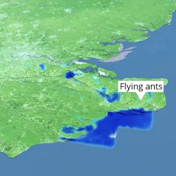 Wetterradarbild mit Ameisenschwärmen im Südosten Englands