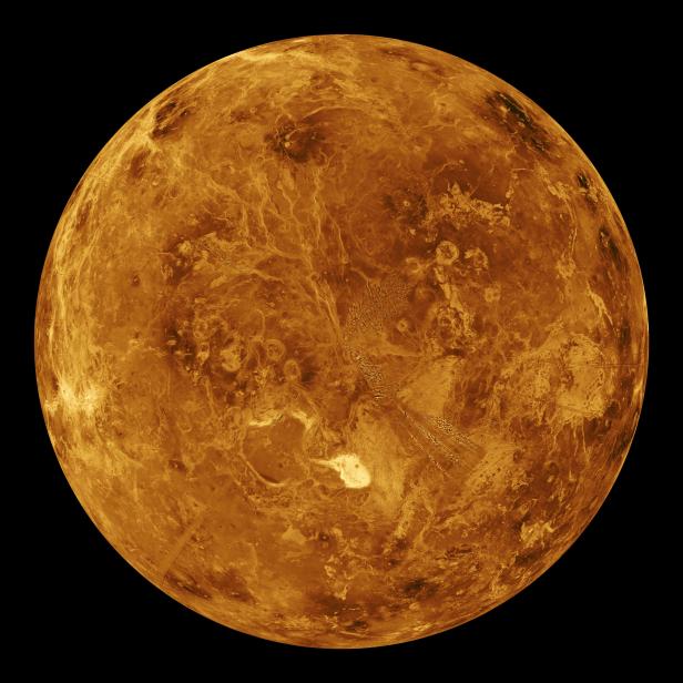 Die Venus