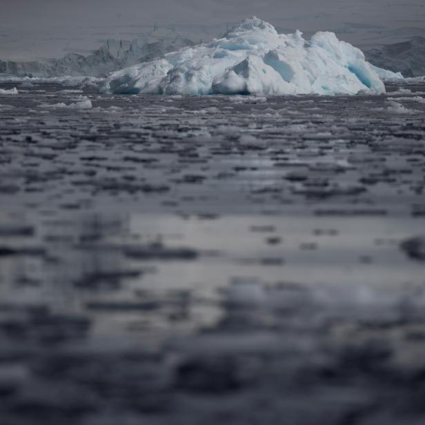 FILE PHOTO: Small chunks of ice float on the water near Fournier Bay, Antarctica