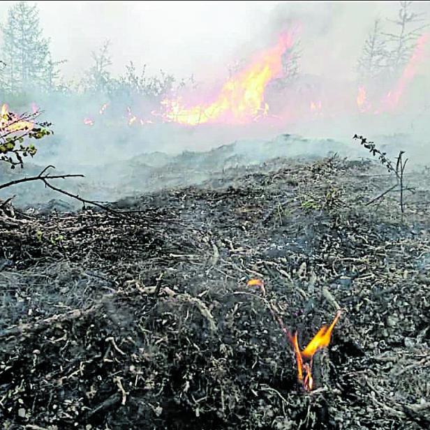 Aufgrund der Hitzewelle gibt es zahlreiche Waldbrände in Sibirien