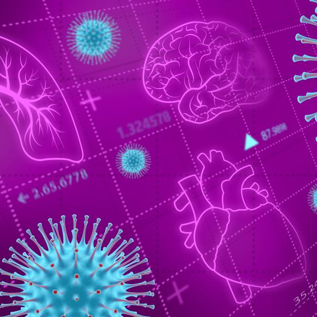 Auswirkungen des Coronavirus auf Lunge, Herz und Gehirn.