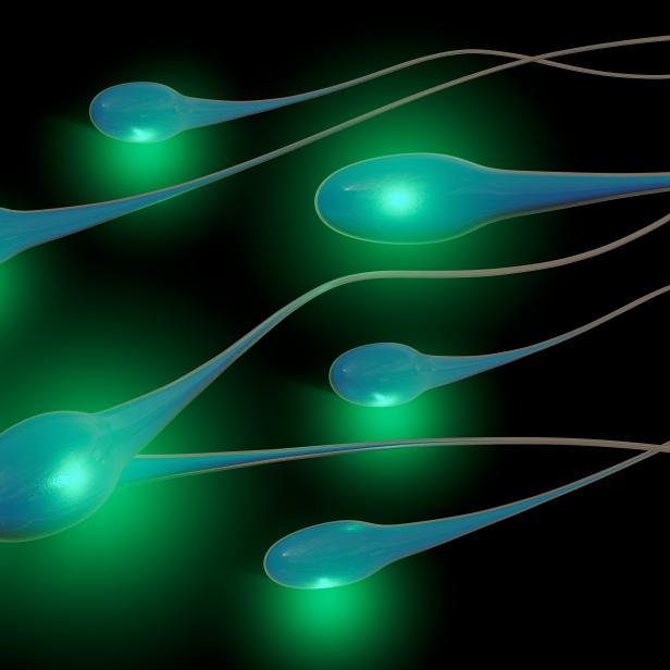 Mehrere blaugrüne Spermien vor einem schwarzen Hintergrund mit grüner Beleuchtung.
