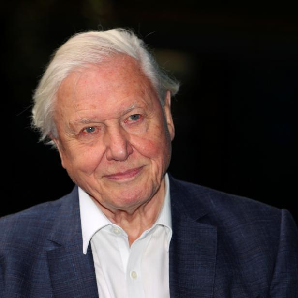 FILE PHOTO: Broadcaster and film maker David Attenborough attends the premiere of Blue Planet II at the British Film Institute in London