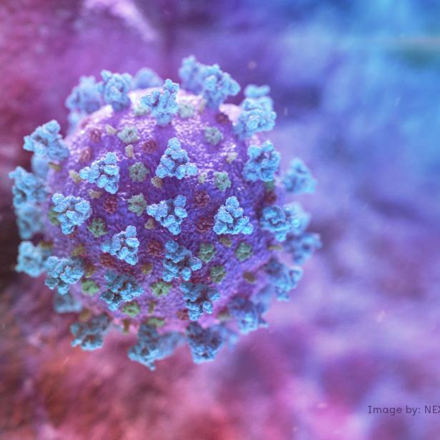 A computer image created by Nexu Science Communication together with Trinity College in Dublin, shows a model structurally representative of a betacoronavirus which is the type of virus linked to COVID-19