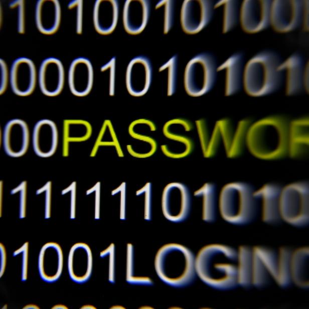 File picture illustration of the word 'password' pictured on a computer screen taken in Berlin