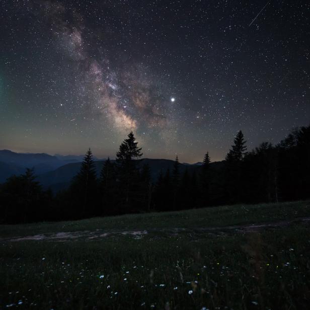 Wo sind nur die Sternschnuppen hin, wo sind sie geblieben? Wie die Lichtverschmutzung den Himmelsblick verändert.