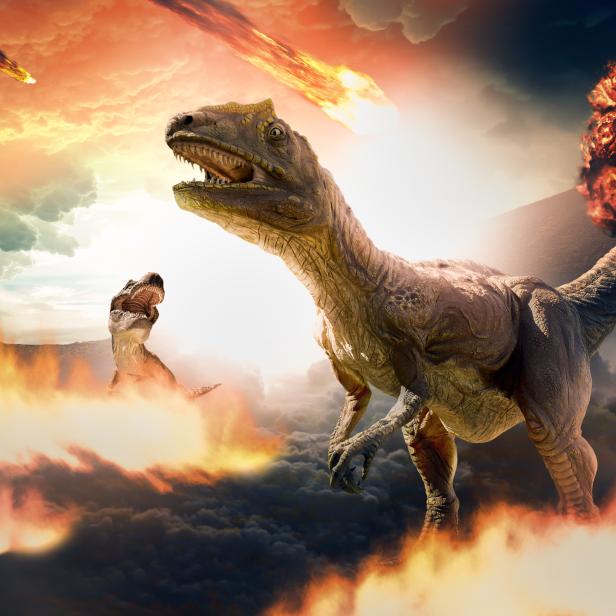 dinosaur extinction day