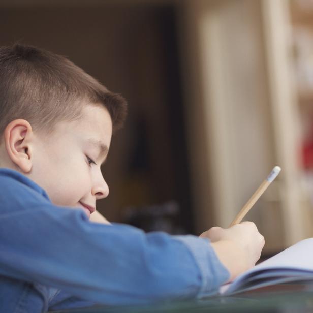 Cute boy doing his homework