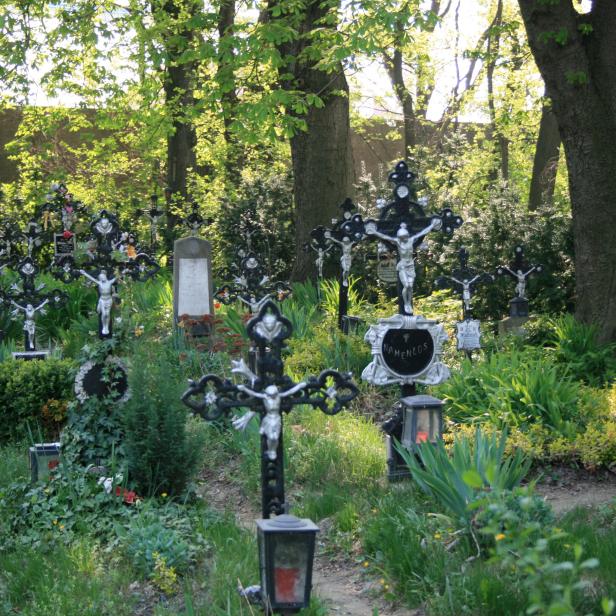 Keine Kräne, keine Schiffe, keine Sattelschlepper, keine Spur von Hektik und Lärm. Im Hafen Wien gibt es einen Platz fernab des Hafenbetriebs: Den Friedhof der Namenlosen. Hier fanden die meistens anonymen Opfer des Donaustroms bis zum Jahr 1940 ihre letzte Ruhe.