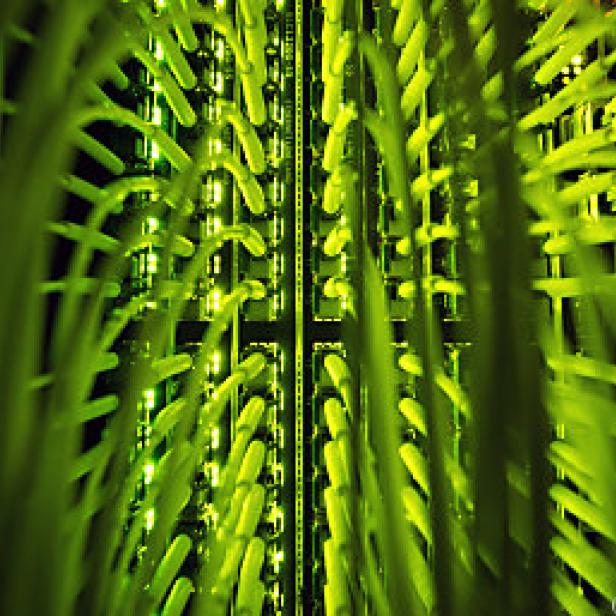 Grüne Kabel verbinden Server in einem Rechenzentrum.