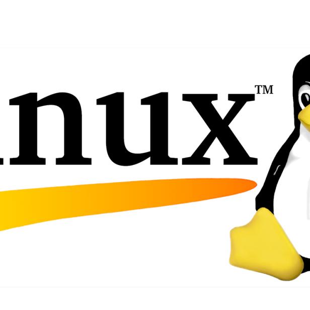 Das Linux-Logo mit dem Pinguin Tux.