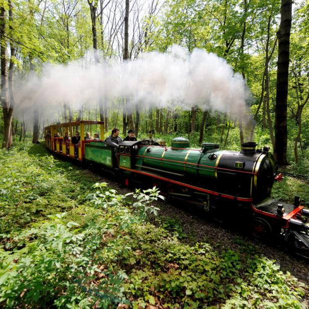 Eine kleine grüne Dampflokomotive fährt durch einen grünen Wald.