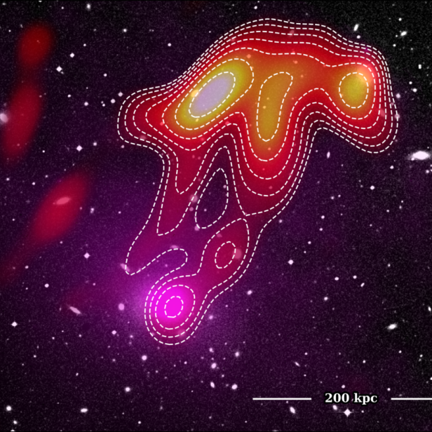 Eine Darstellung eines Galaxienhaufens mit farbcodierter Röntgenstrahlung und Konturlinien.