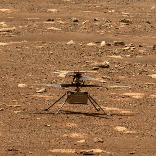 "Ingenuity" bei der Probe