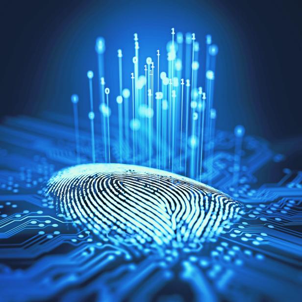 Fingerprint Binary Microchip