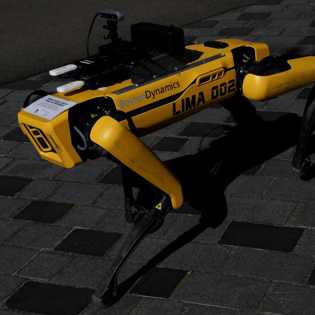 A four-legged robot dog called SPOT patrols a park as it undergoes testing to be deployed as a safe distancing ambassador following the coronavirus disease (COVID-19) outbreak in Singapore