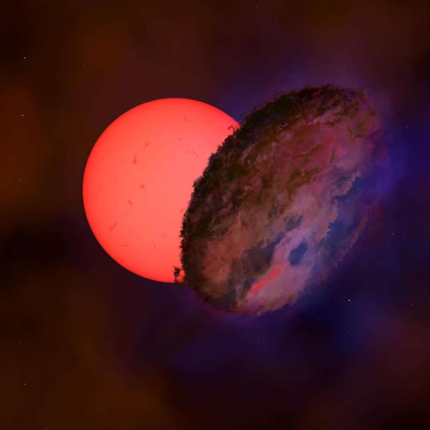 Ein roter Stern interagiert mit einer planetarischen Staubscheibe.