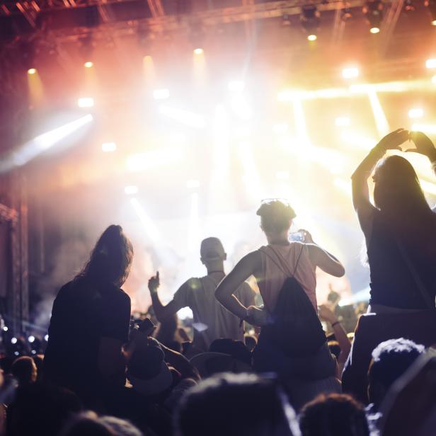 Portrait of happy crowd enjoying at music festival