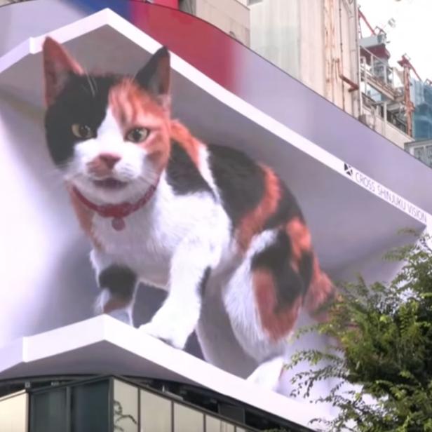 Animierte Katze auf riesigem Display in Tokio