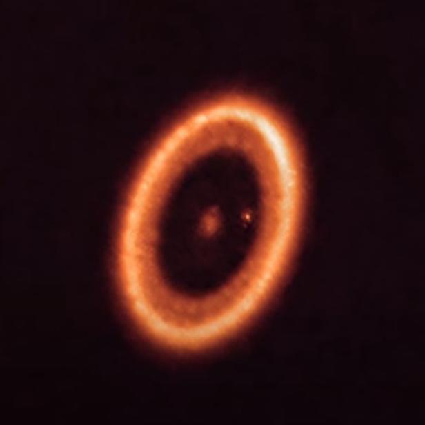 Ein Planet ist von einer Staubscheibe umgeben.