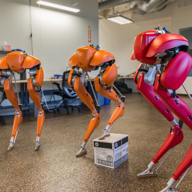 Drei humanoide Roboter von Agility Robotics stehen in einem Büro, einer davon auf einer HP-Box.