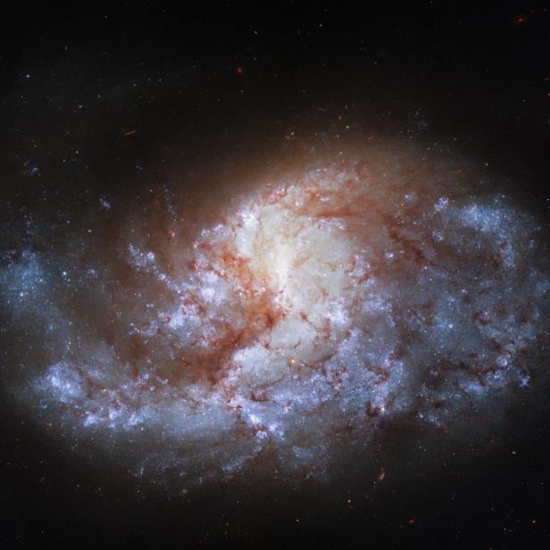 Hubble Views a Galaxy in a 'Furnace'