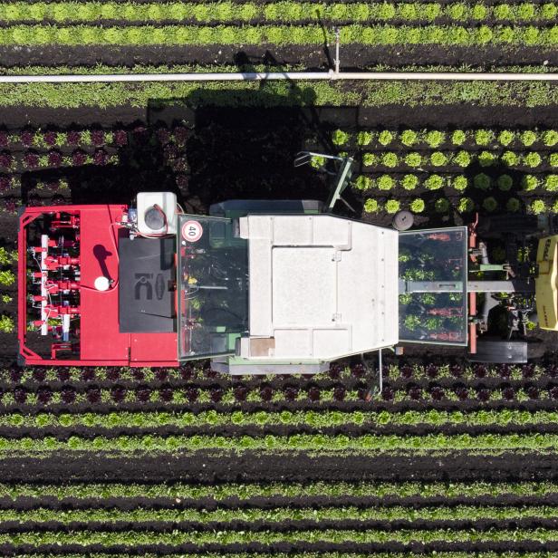 Plant protection robot pilot project in Switzerland