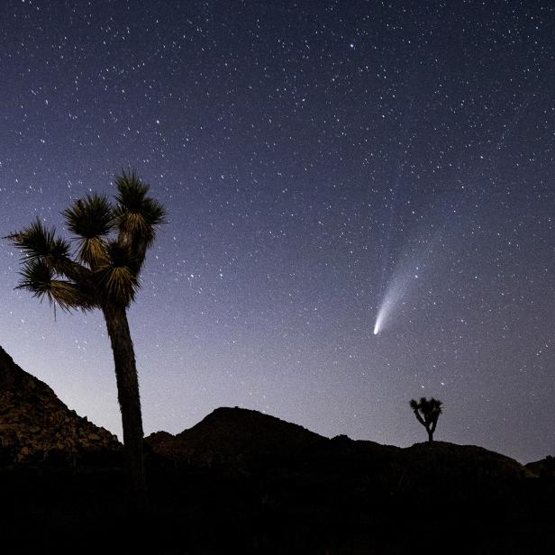 Der Komet NEOWISE über Nordamerika.