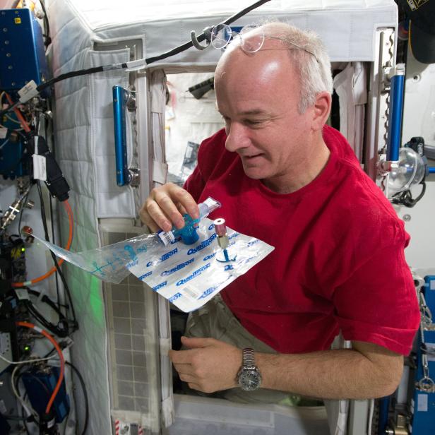 Astronauts collect samples for blood research at the International Space Station