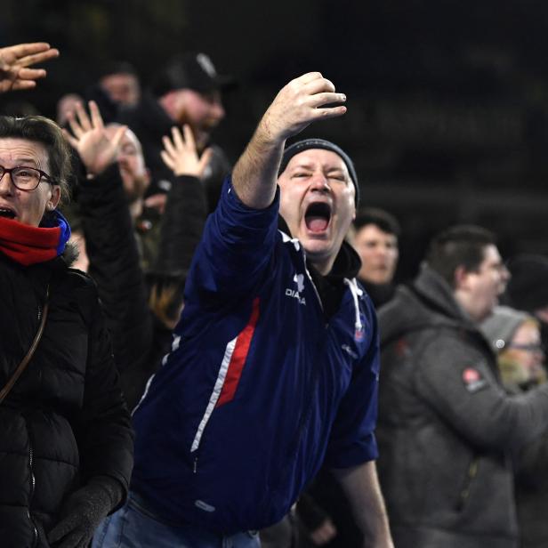 Crystal Palace Fans 