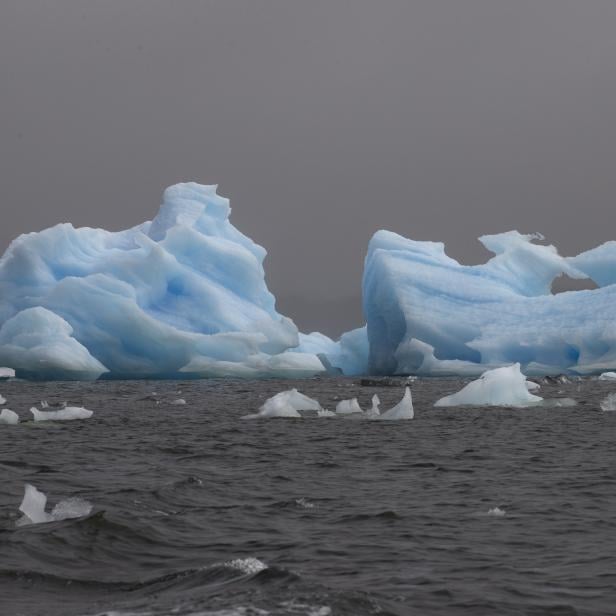 Travel to the depths of Aysen, the harmony between the forest, the mountain and the ice