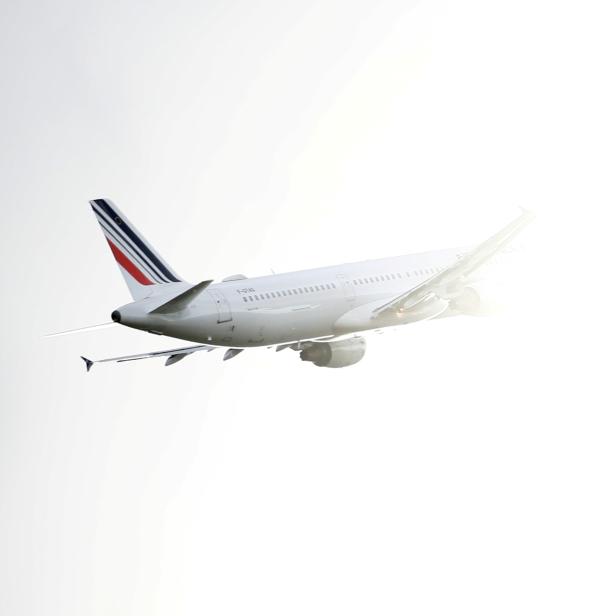 FILE PHOTO: Air France Airbus A321 airplane takes off at Toulouse-Blagnac Airport